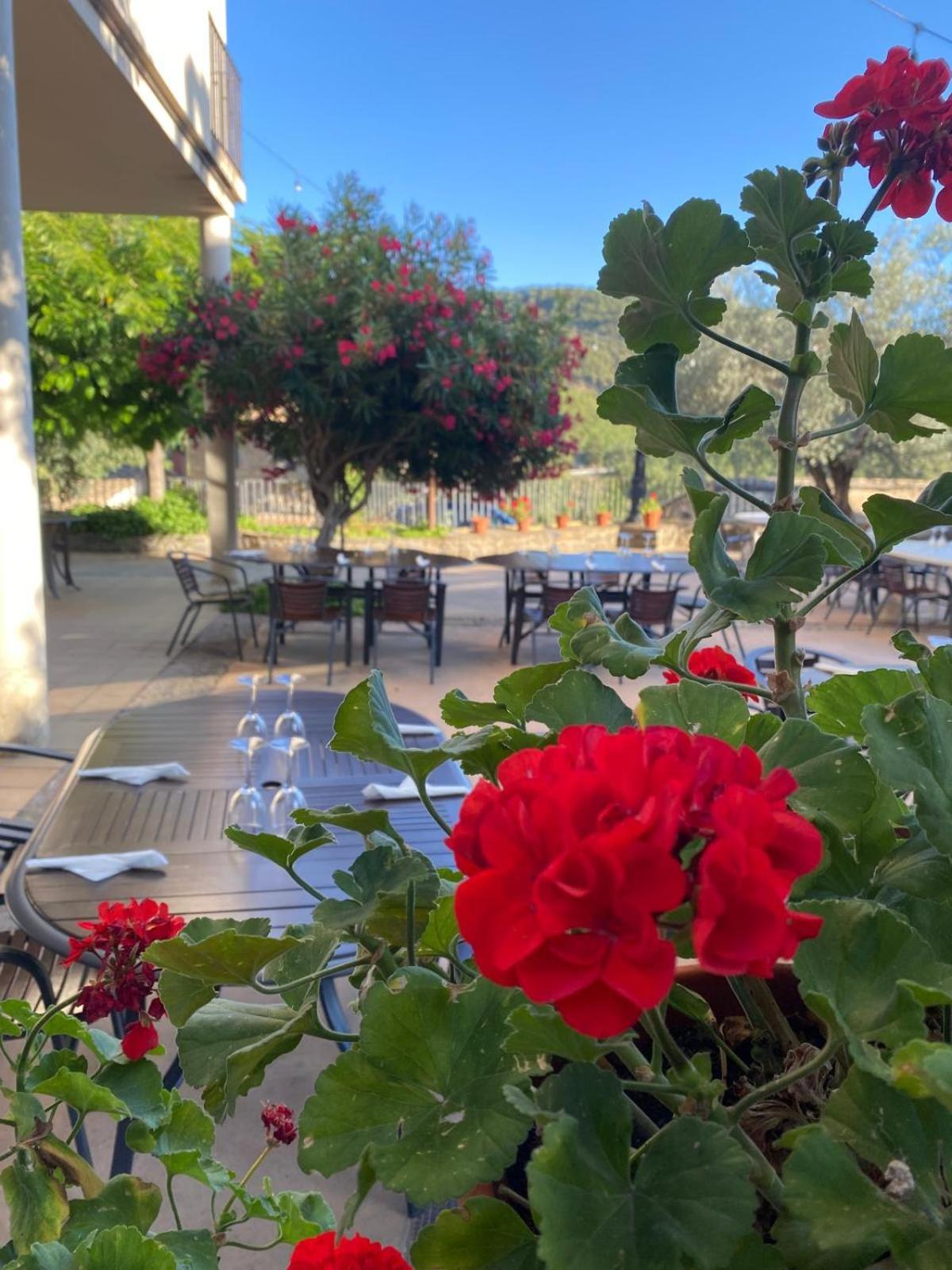 Hotel Guara Inluka Las Almunias Екстериор снимка